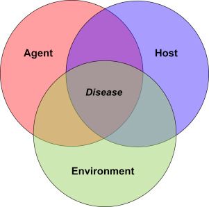 venn diagram of infectious disease model